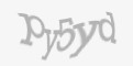 Защитный код